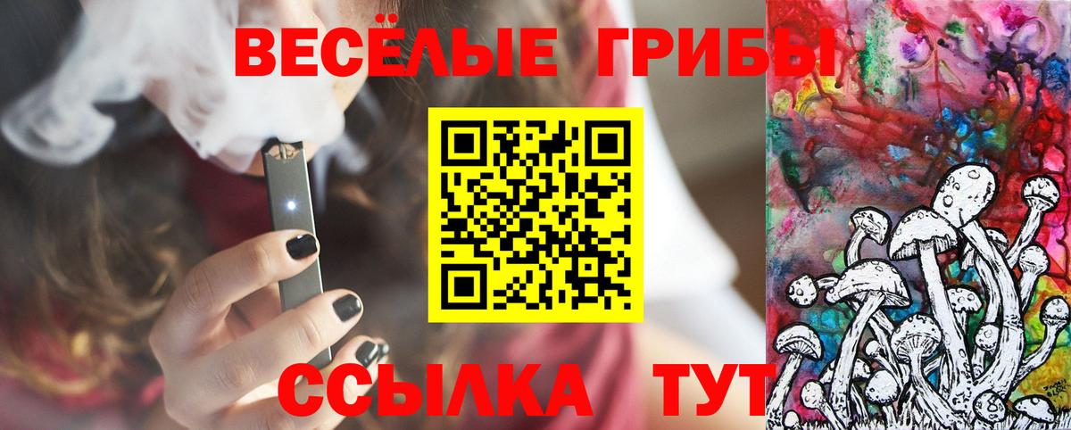 Псилоцибиновые грибы Cubensis  Вход с VPN  Аша  Псилоцибиновые грибы Cubensis 
